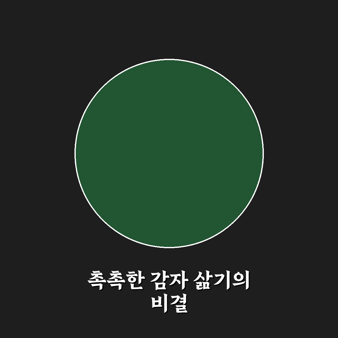 포슬포슬 감자 삶는법과 꿀팁 초보자도 쉽게 따라해요