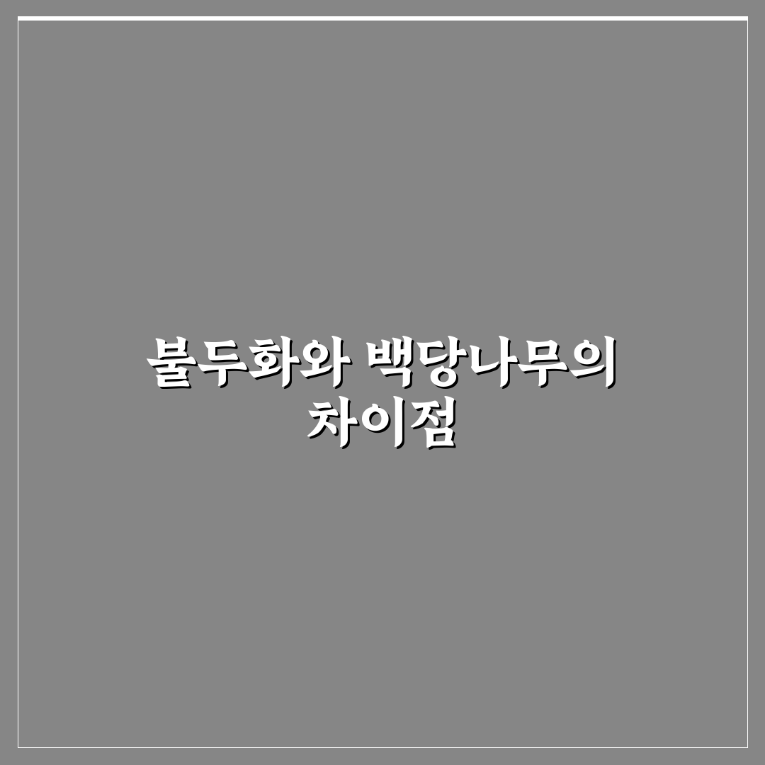 불두화 백당나무 차이와 특징 쉽게 정리한 꿀팁