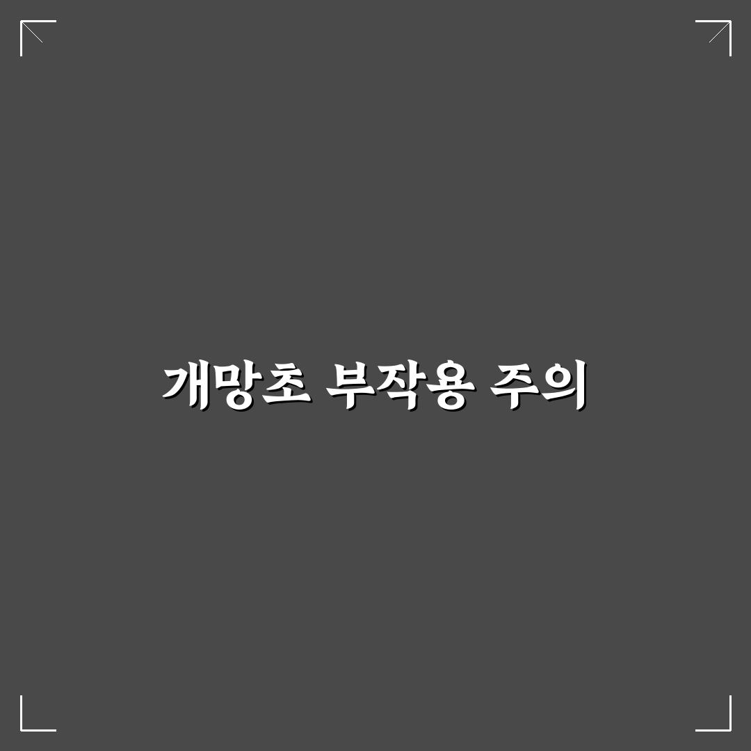 개망초 나물 부작용과 건강 꿀팁 알려드려요