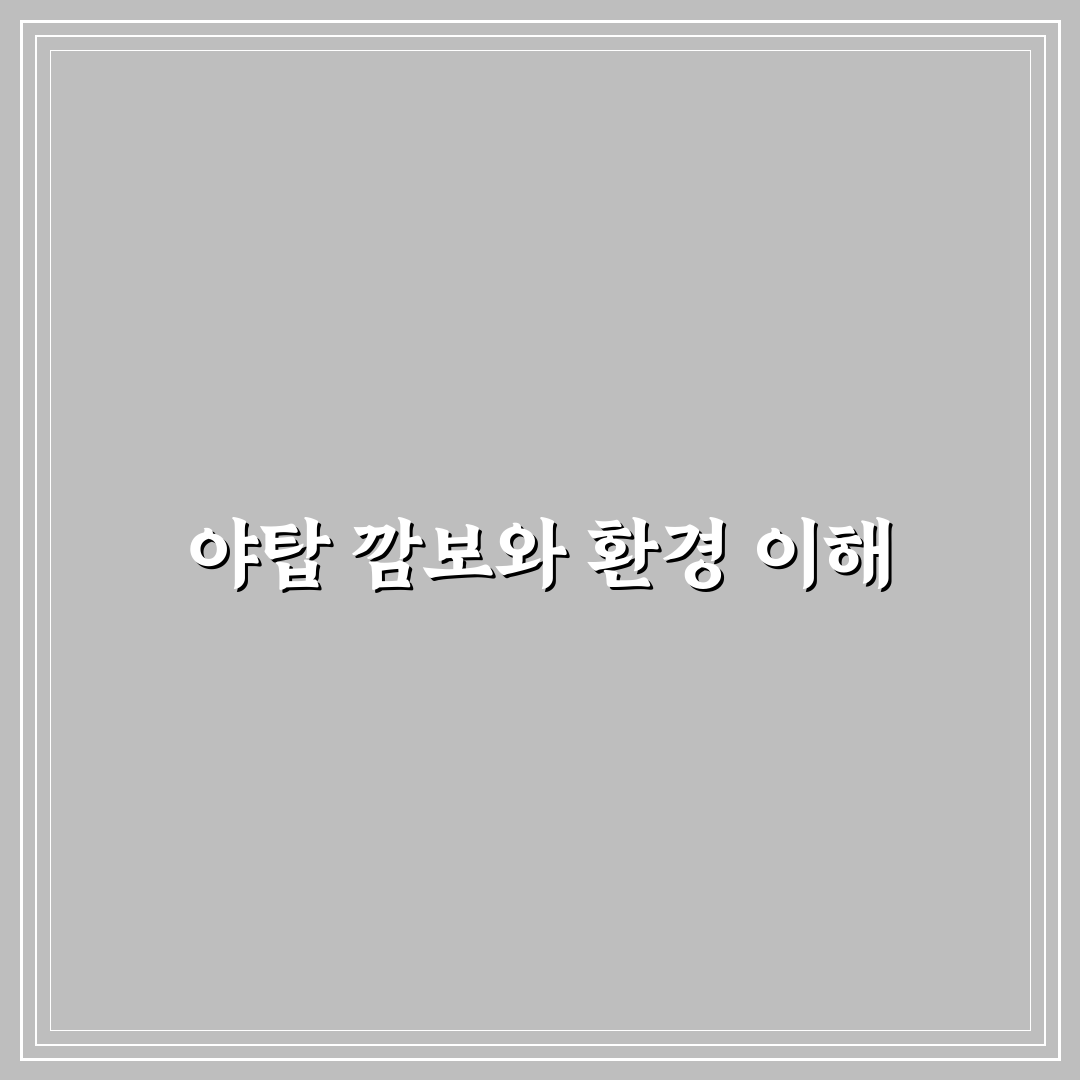 야탑 깜보 방문 전 알아두면 좋은 꿀팁 정리