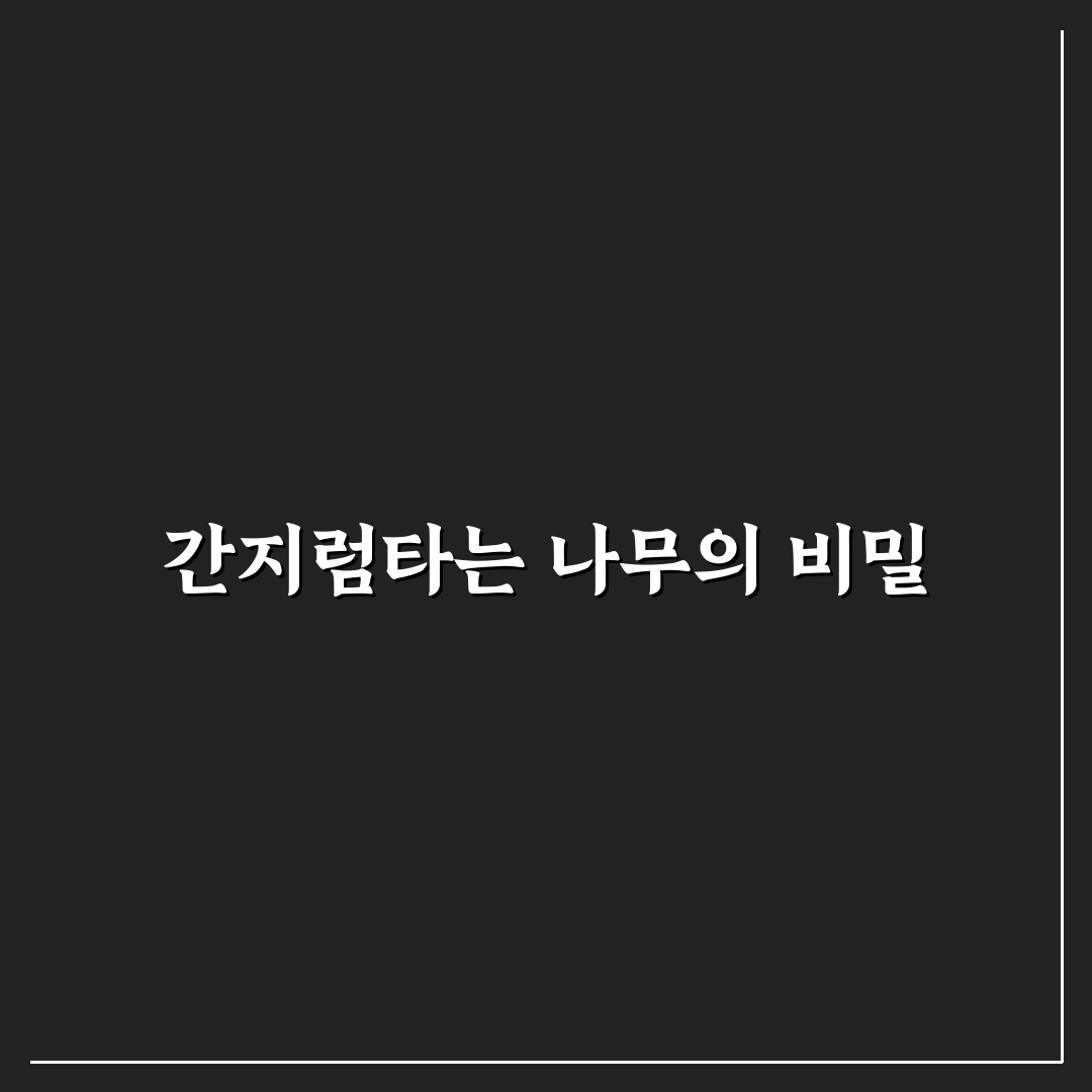 간지럼타는 나무 활용법과 관리 꿀팁 알려드려요