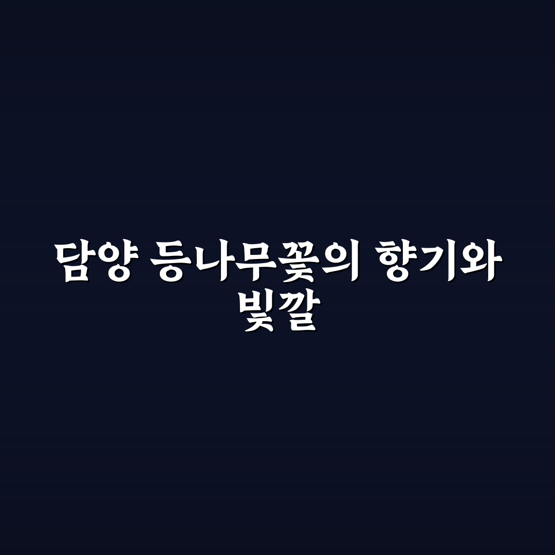 담양 등나무꽃 방문 꿀팁과 꽃구경 정보 정리