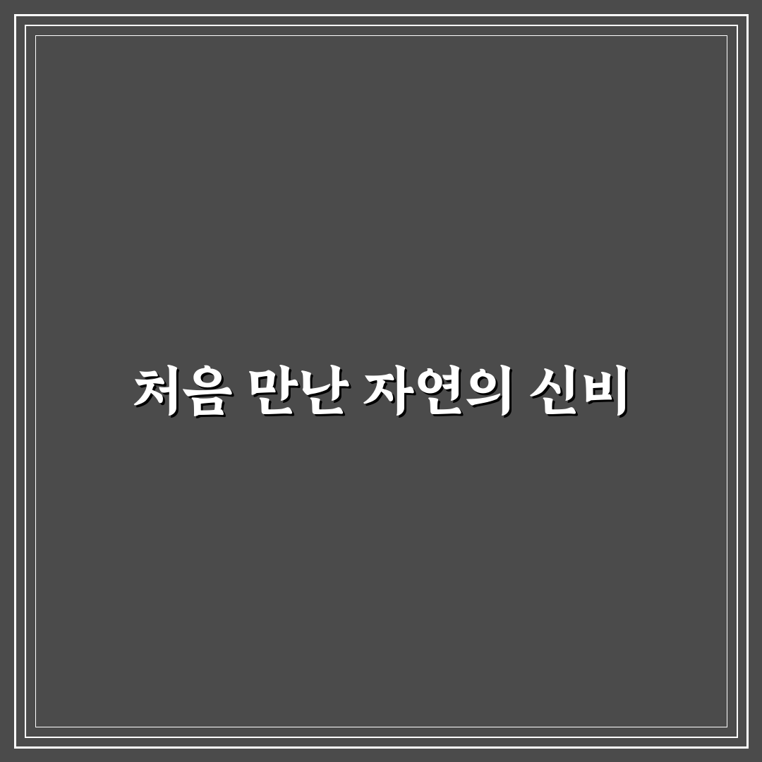 눈개승마 땅두릅 차이 직접 알아보니 생김새와 맛 비교되더라요