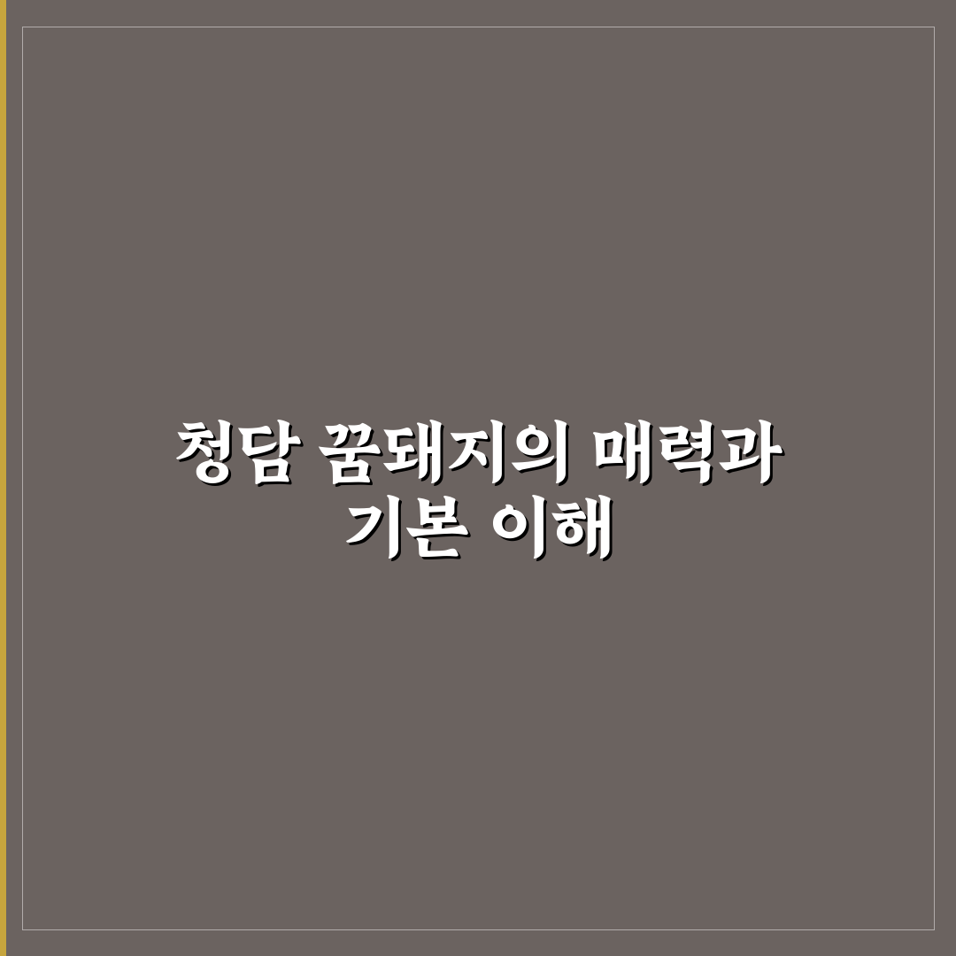 청담 꿈돼지에서 맛보는 꿀팁과 추천 메뉴 정리