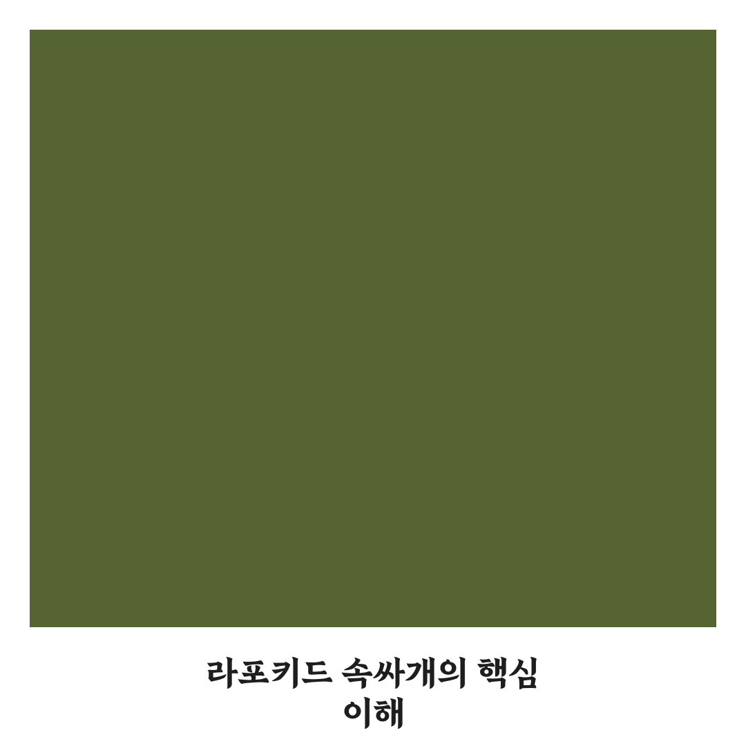라포키드 속싸개 사용법과 초보자 꿀팁 알려드려요