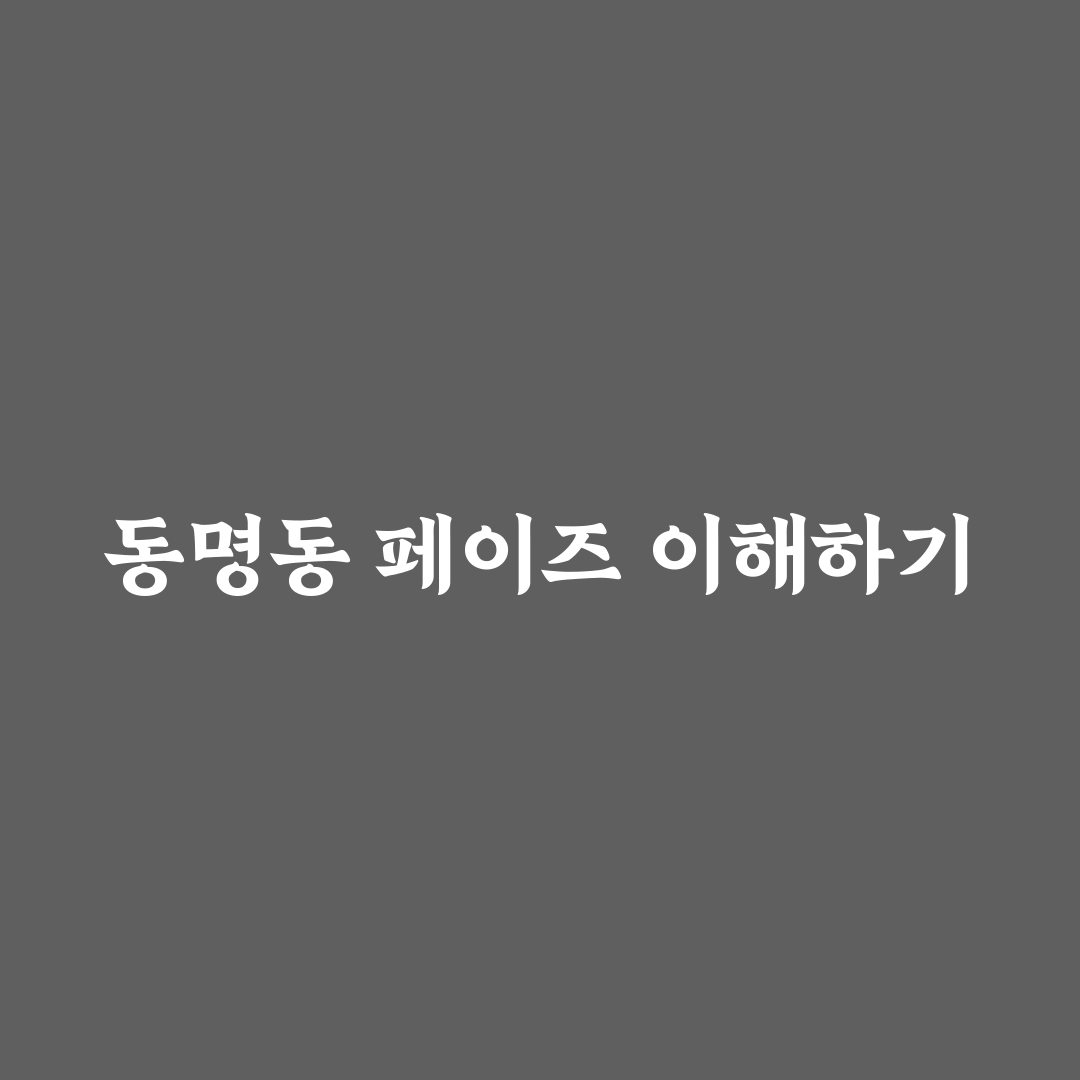 동명동 페이즈 방문 전 알아두면 좋은 꿀팁 정리