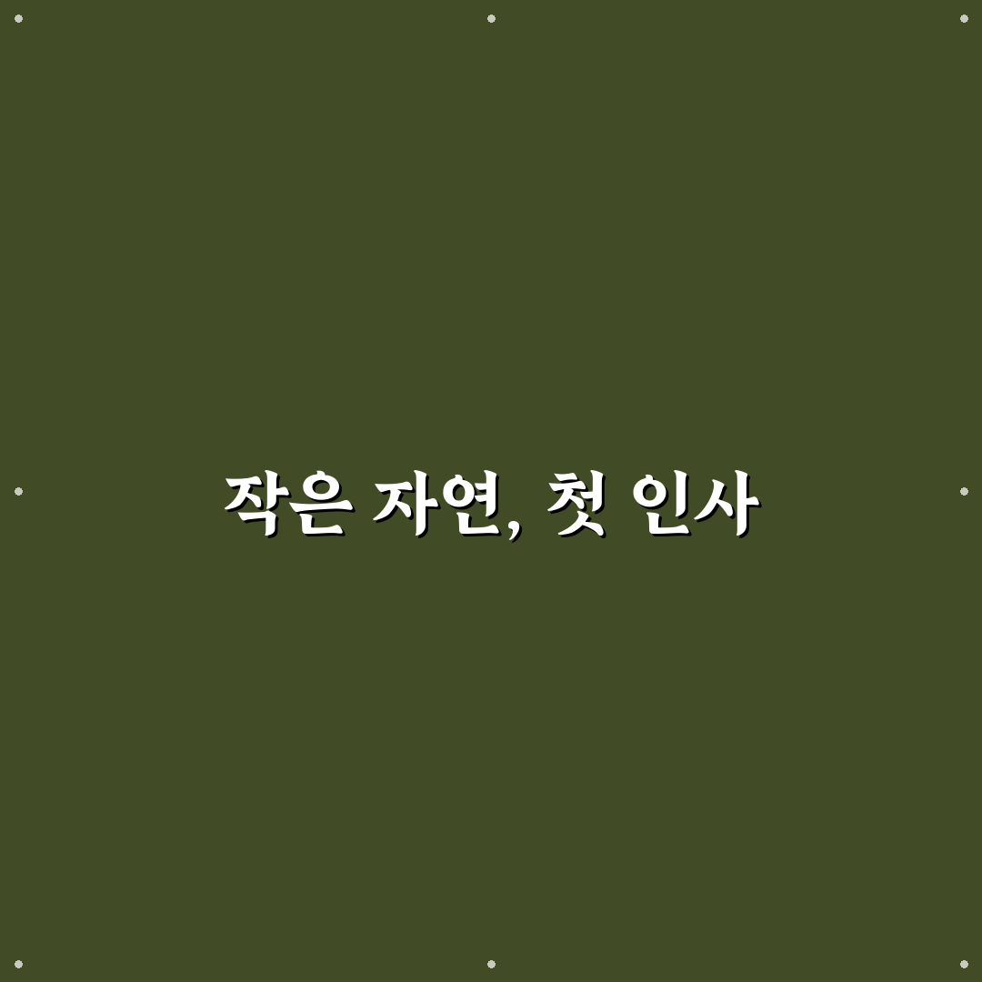 이팝나무 분재 키우기 사용기, 관리법 직접 써보니