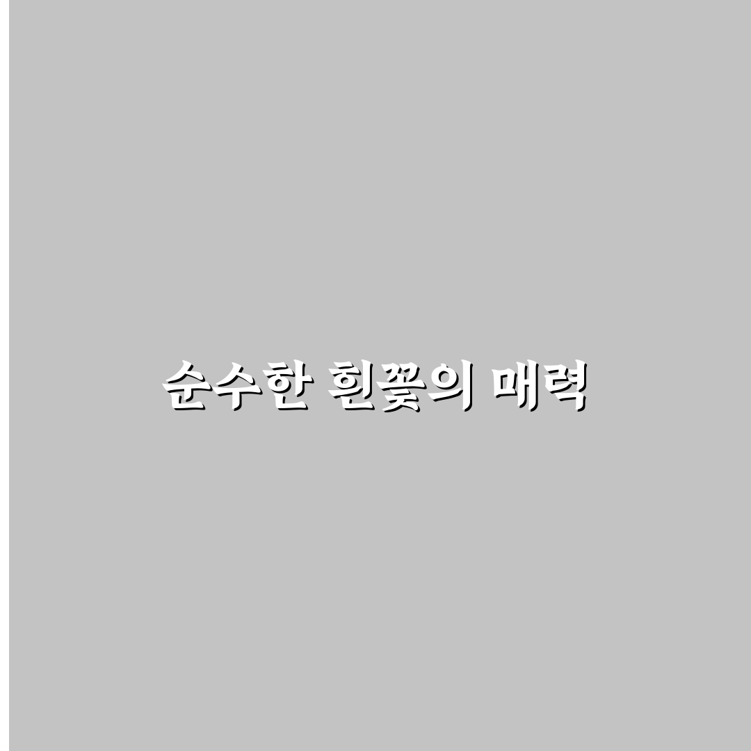이팝나무 영어로 직접 알아보니 뜻과 표현법