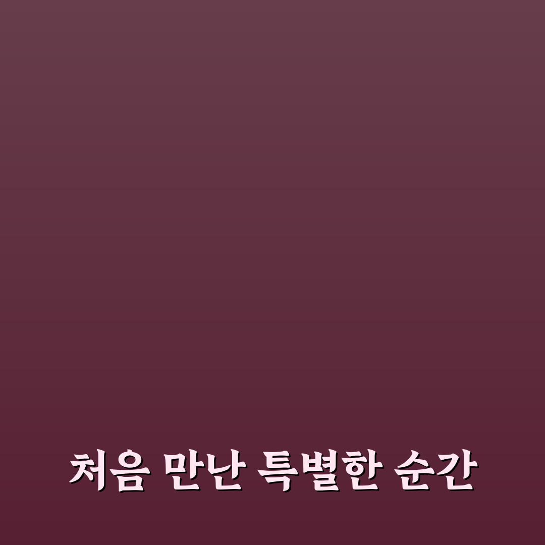 원주 무실동 빵집 방문 후기, 직접 가보니 빵 맛은 어땠나
