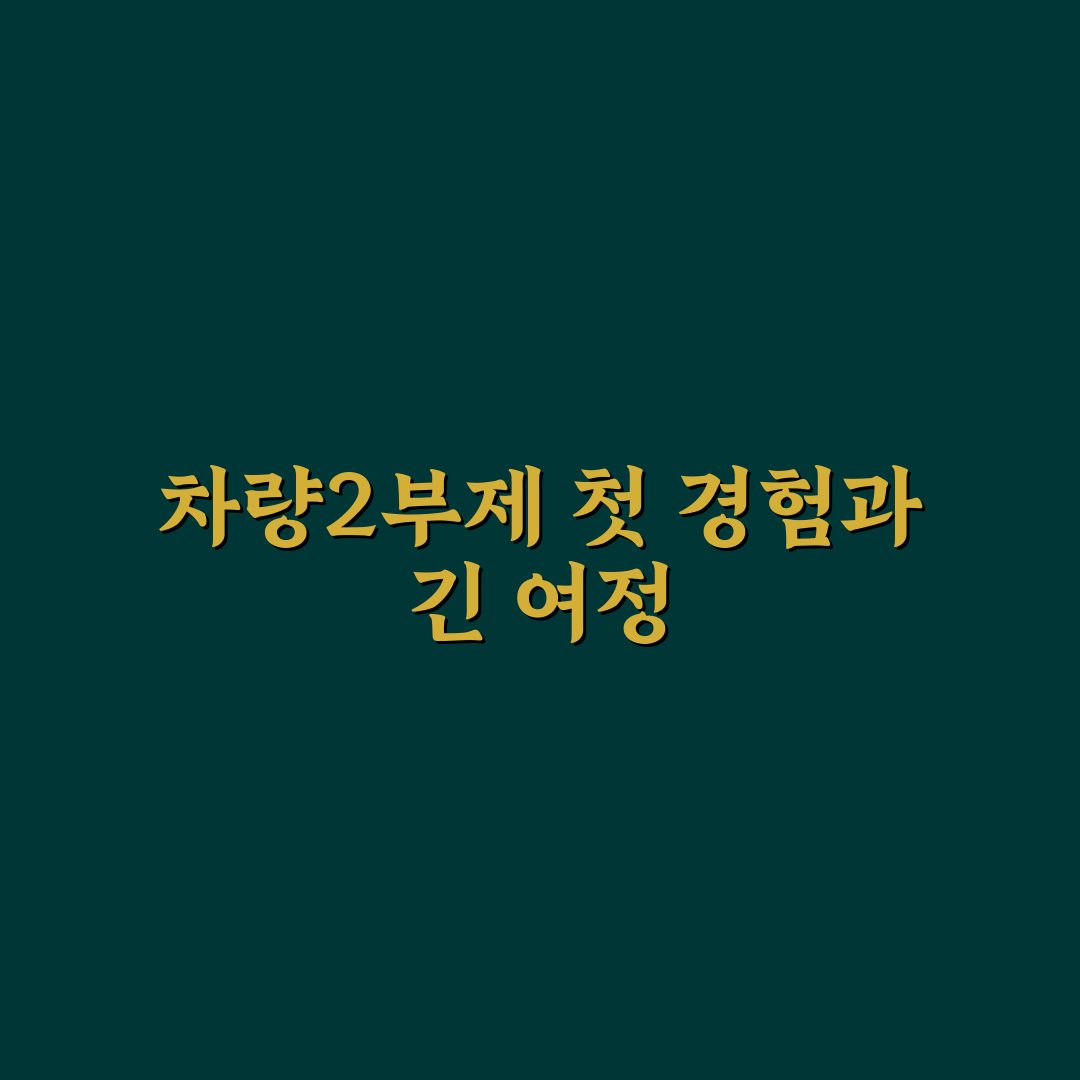 차량2부제 장거리 운전, 직접 경험해보니 불편했던 점