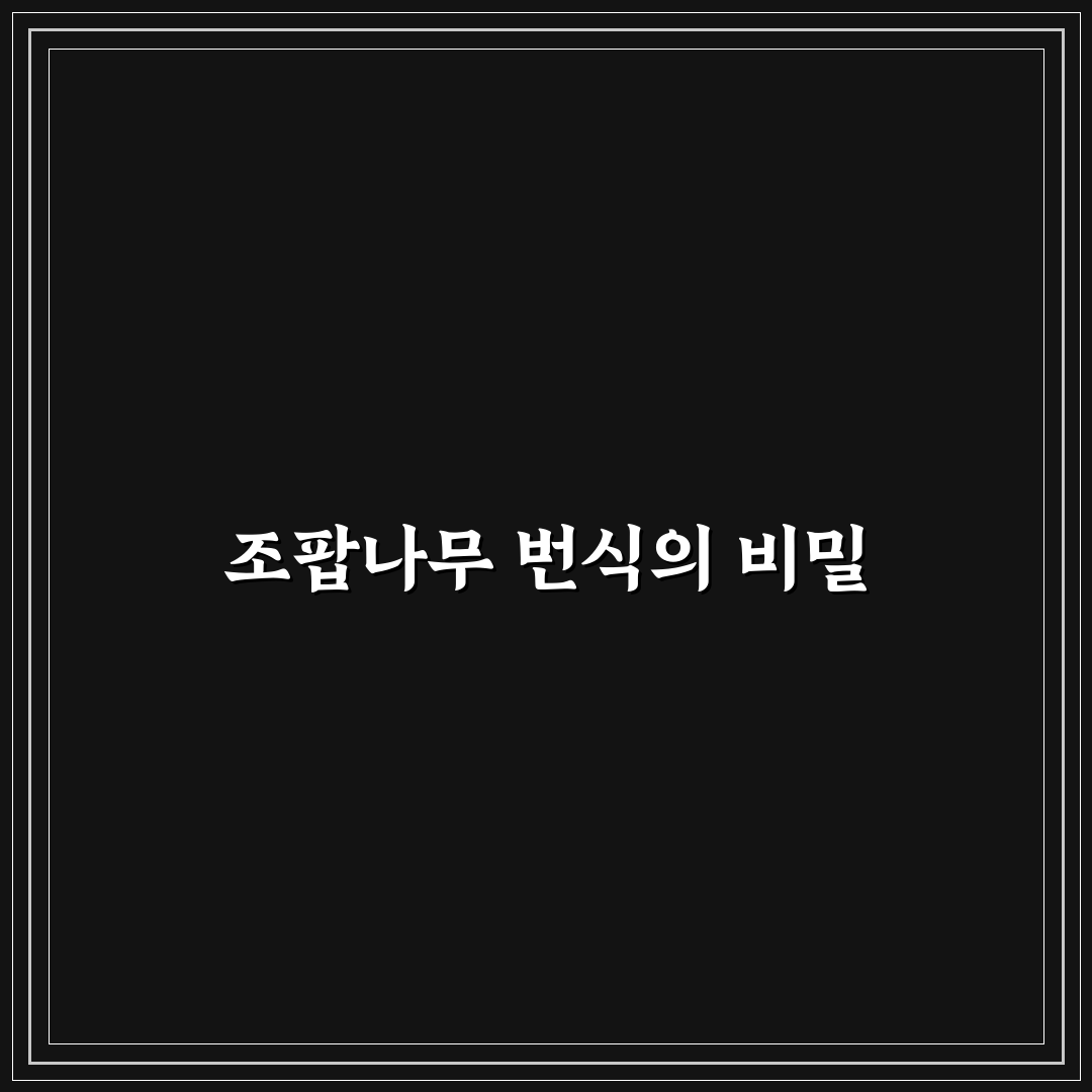 조팝나무 번식방법 직접 해보니 어려웠던 점과 팁