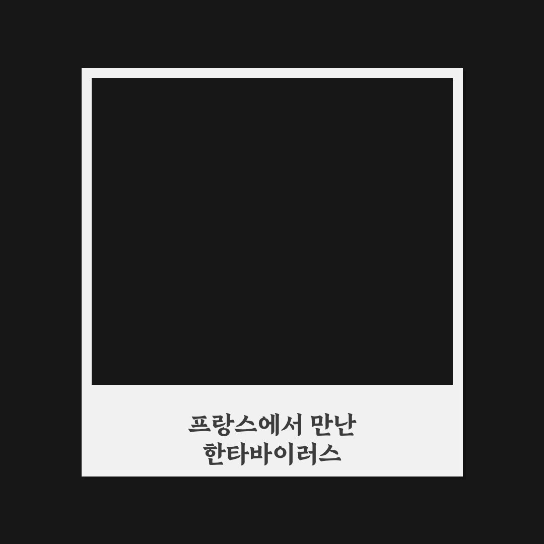 한타바이러스 프랑스 직접 알아보니 현황과 주의점