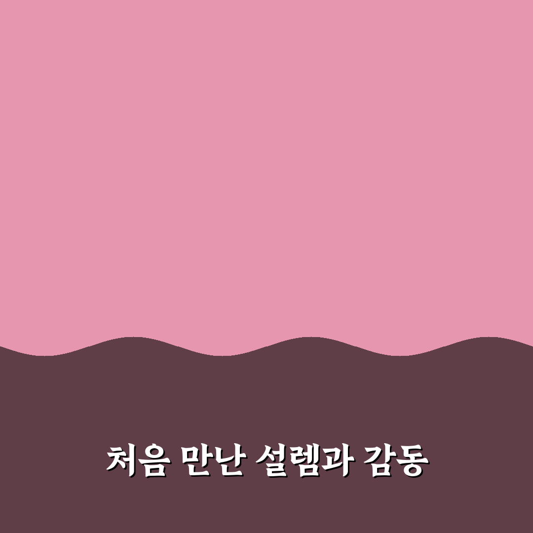 가오동 홈플러스 미용실 방문 후기, 직접 가보니 분위기와 서비스는?