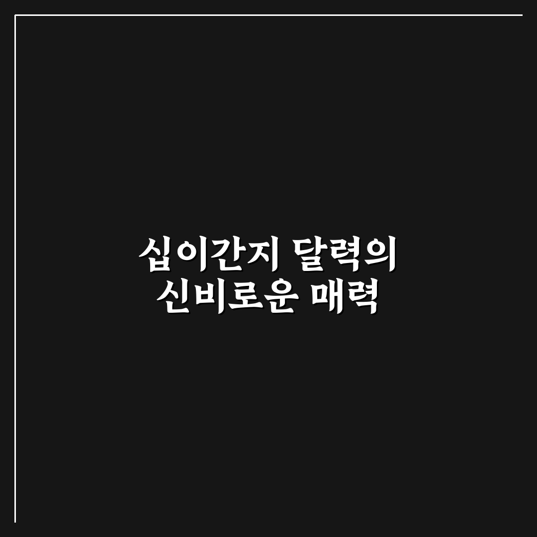 십이간지 달력 사용 후기, 실제 써보니 달라진 점