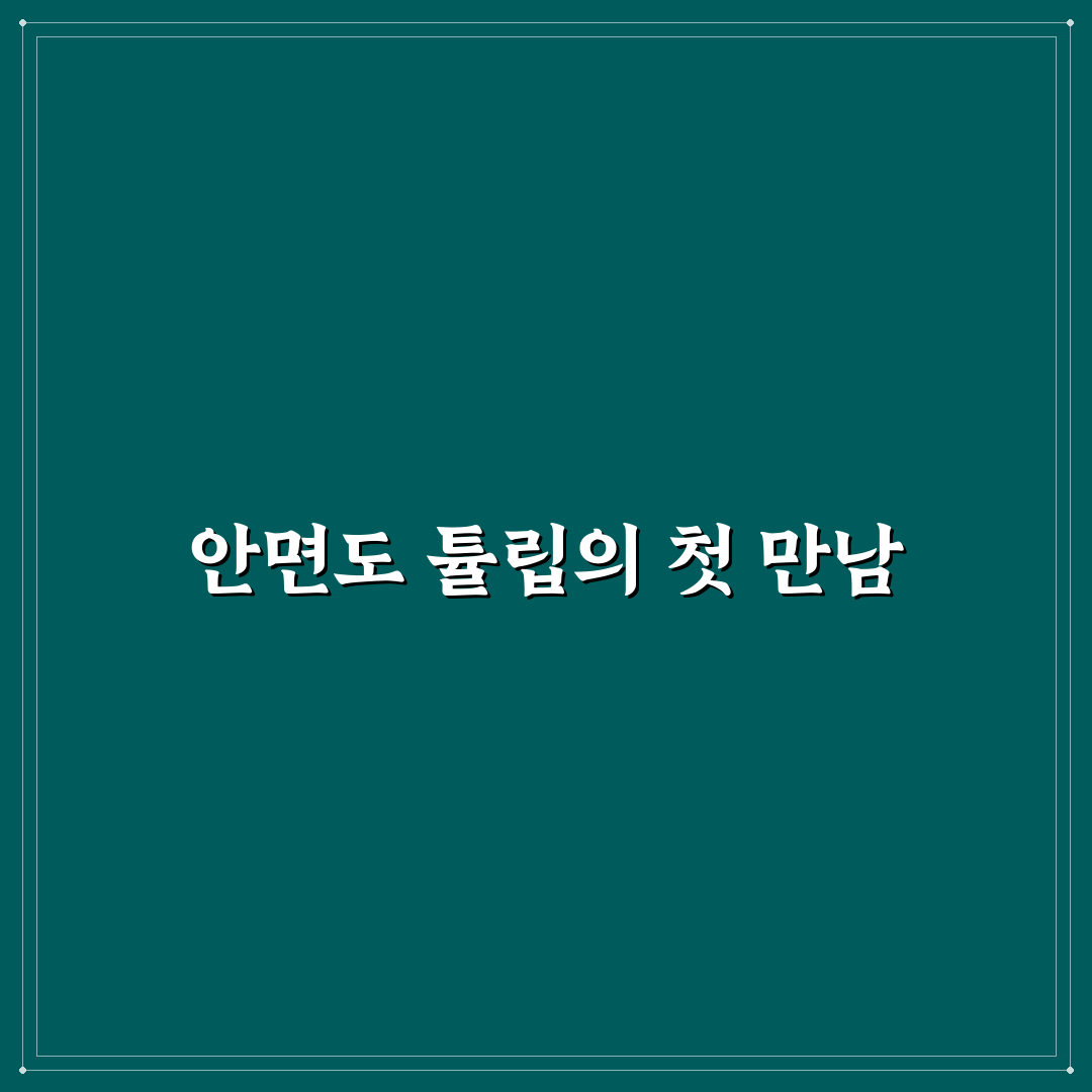 안면도 튤립축제 입장료, 직접 알아보니 가성비는?