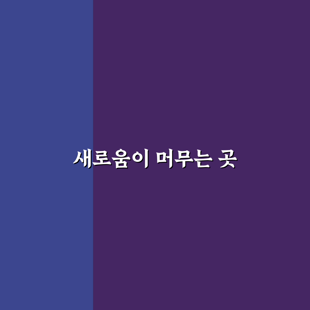 오키나와 더부세나 방문 후기, 실제로 가보니 느낌은