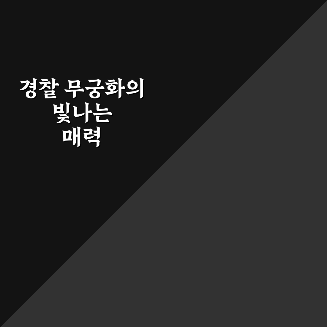 경찰 계급도 무궁화 직접 알아보니 헷갈렸던 부분