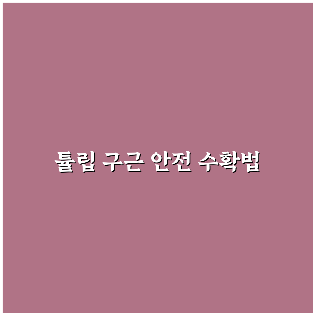 튤립 구근 캐기 방법과 꿀팁 쉽게 알려드려요