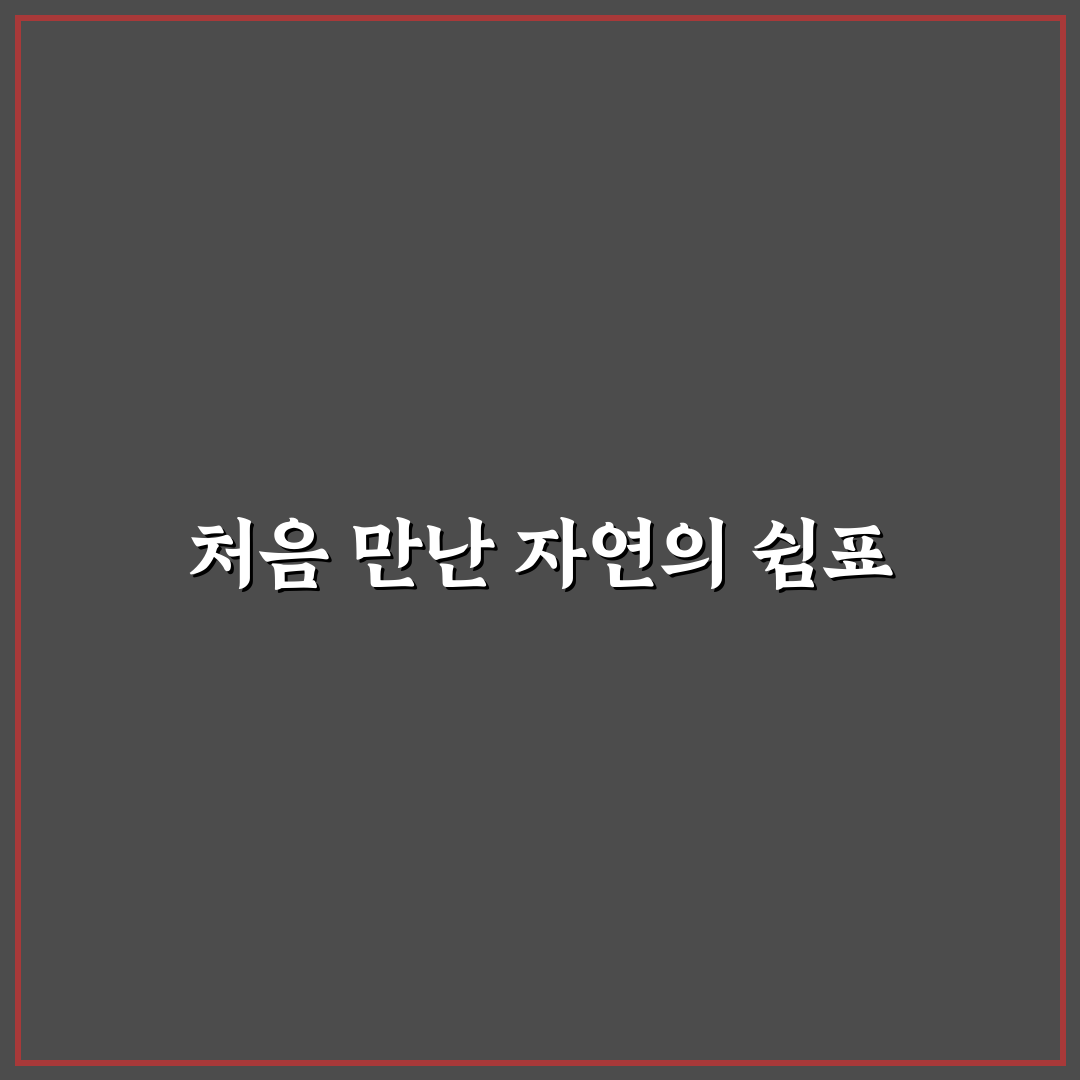 세종 글램핑 방문 후기, 자연 속에서 느낀 솔직한 경험