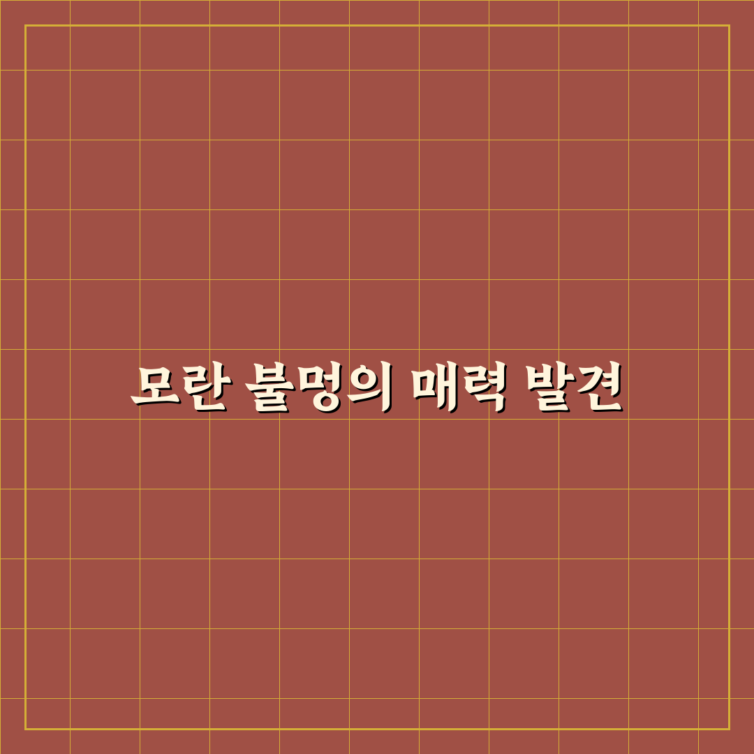 모란 불멍 즐기는 방법과 꿀팁 정리