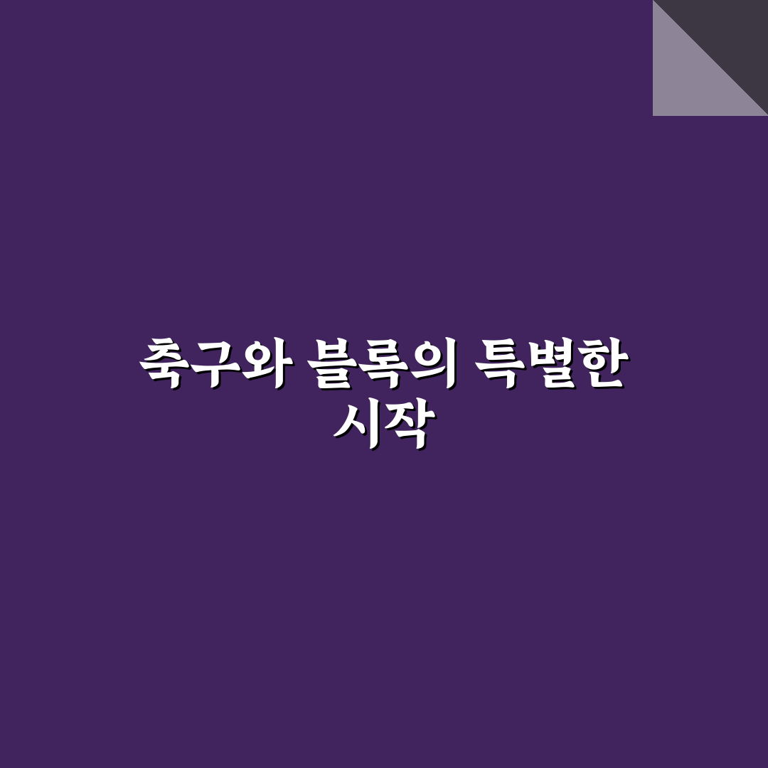 월드컵 레고 사용 후기, 조립하면서 느낀 점들