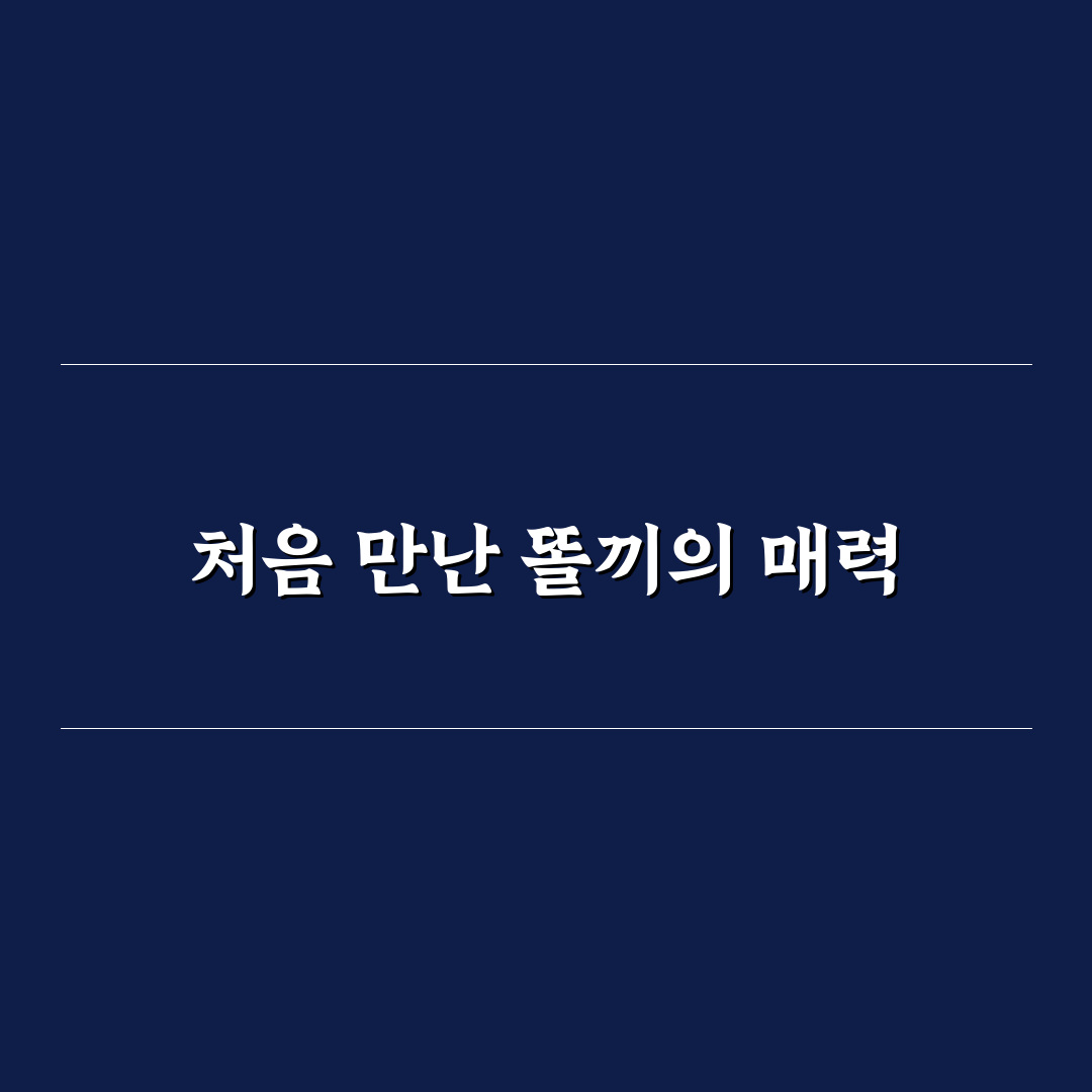 유튜버 똘끼 영상 리얼리뷰, 직접 보고 느낀 점