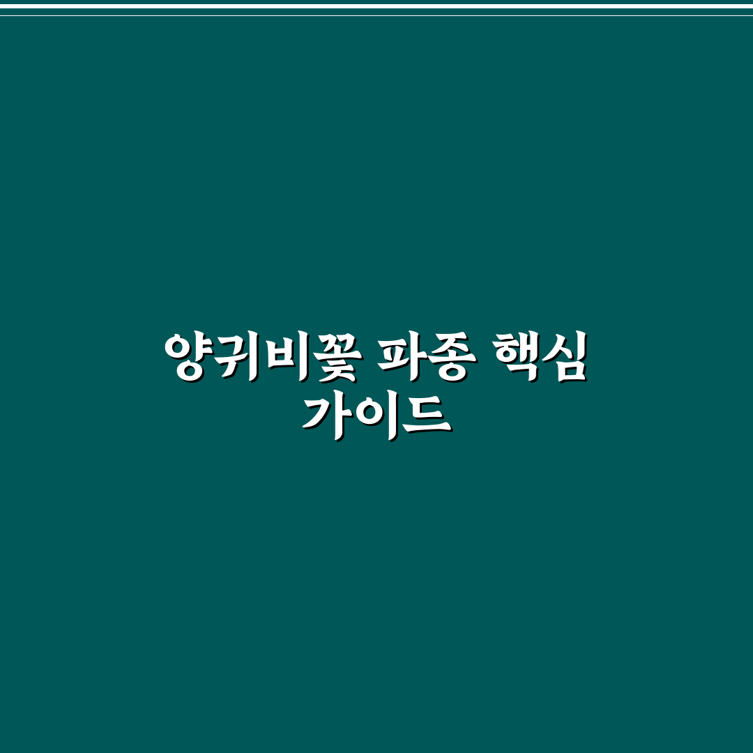 양귀비꽃 파종시기와 방법 쉽게 알려드려요