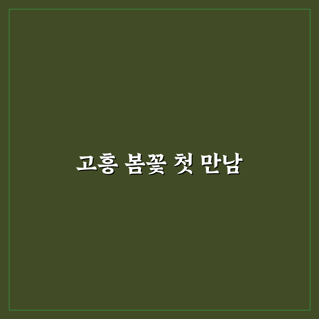 전남 고흥 작약꽃밭 방문 후기, 직접 가보니 풍경과 분위기