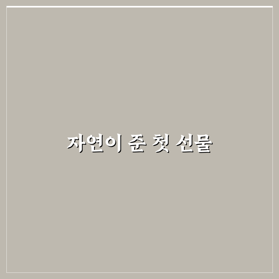 각시붓꽃 키우기 후기, 직접 심어보니 알게 된 점들