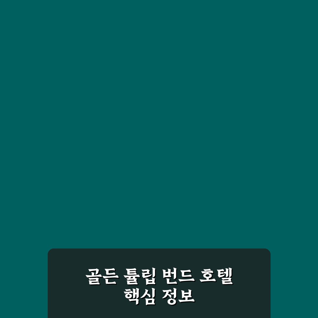 골든 튤립 번드 호텔 예약 꿀팁과 후기 공유