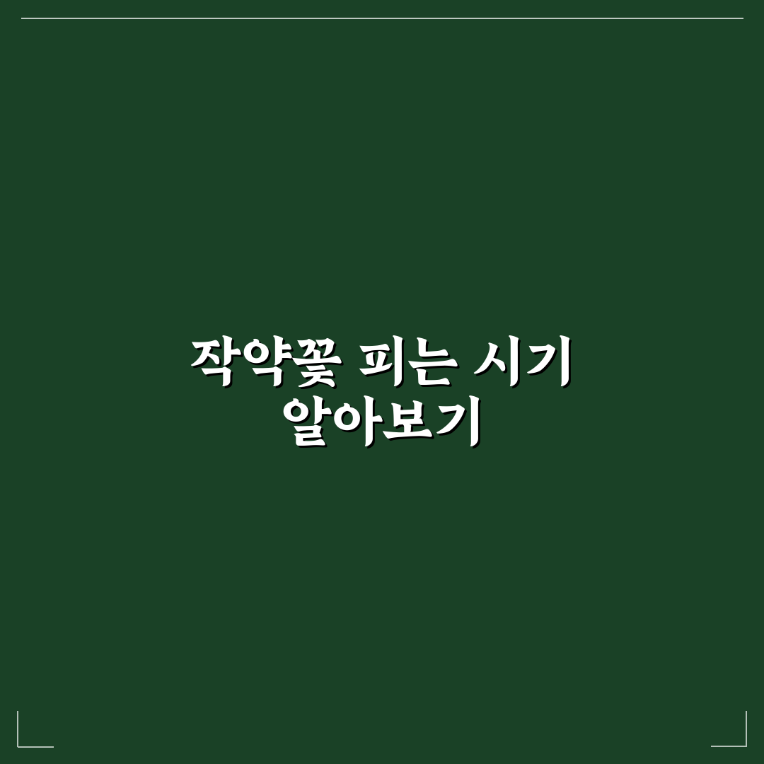 작약꽃 시기와 특징 쉽게 알아보는 꿀팁 공유