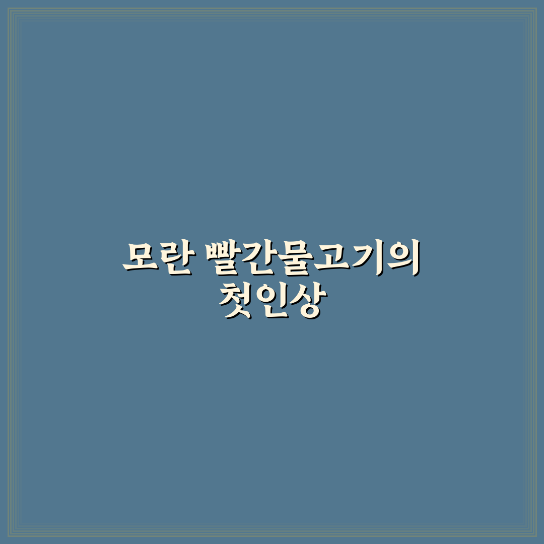 모란 빨간물고기 방문 후기, 직접 가보니 분위기 어땠는지