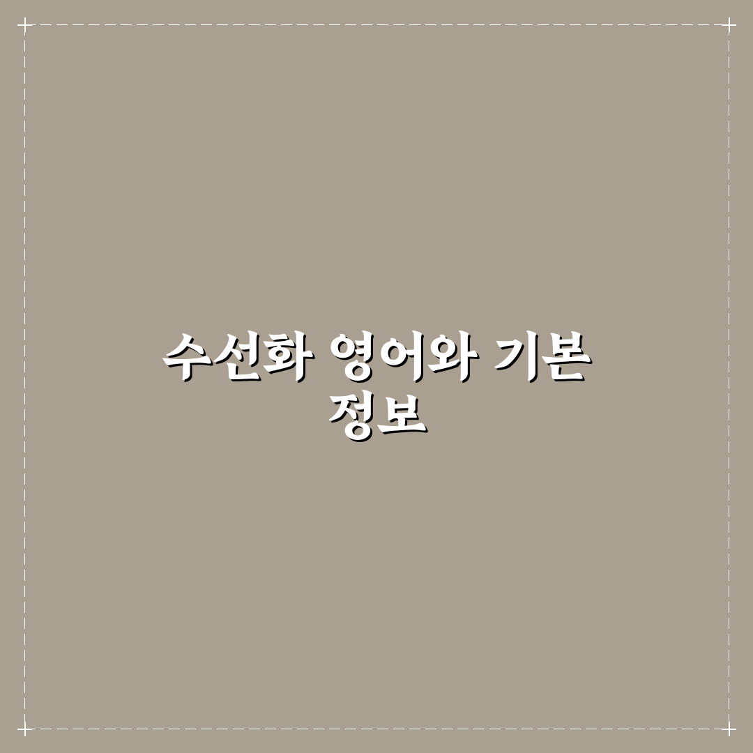 수선화 영어로 쉽게 배우는 표현과 활용법 알려드려요