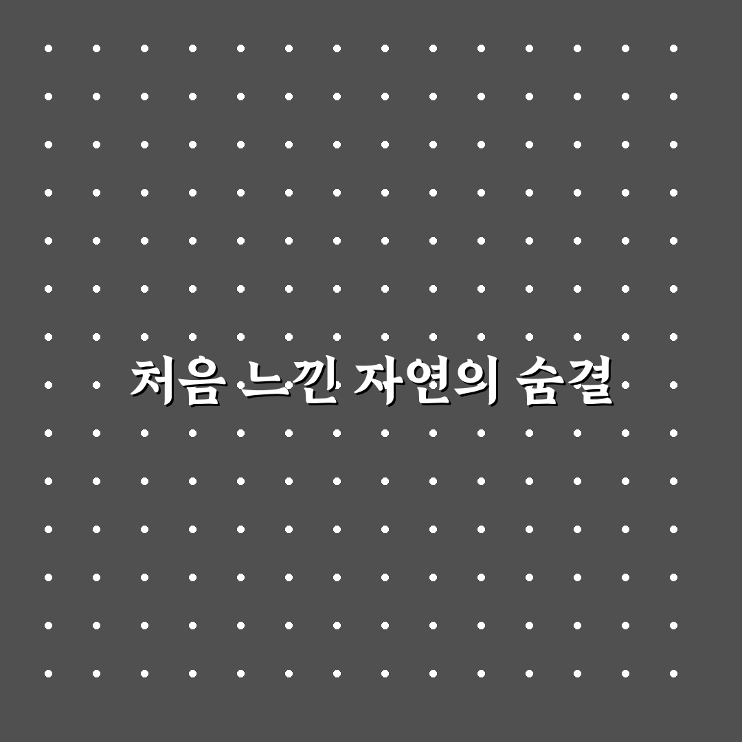 어수리취 사용 후기, 직접 써보니 알게 된 점