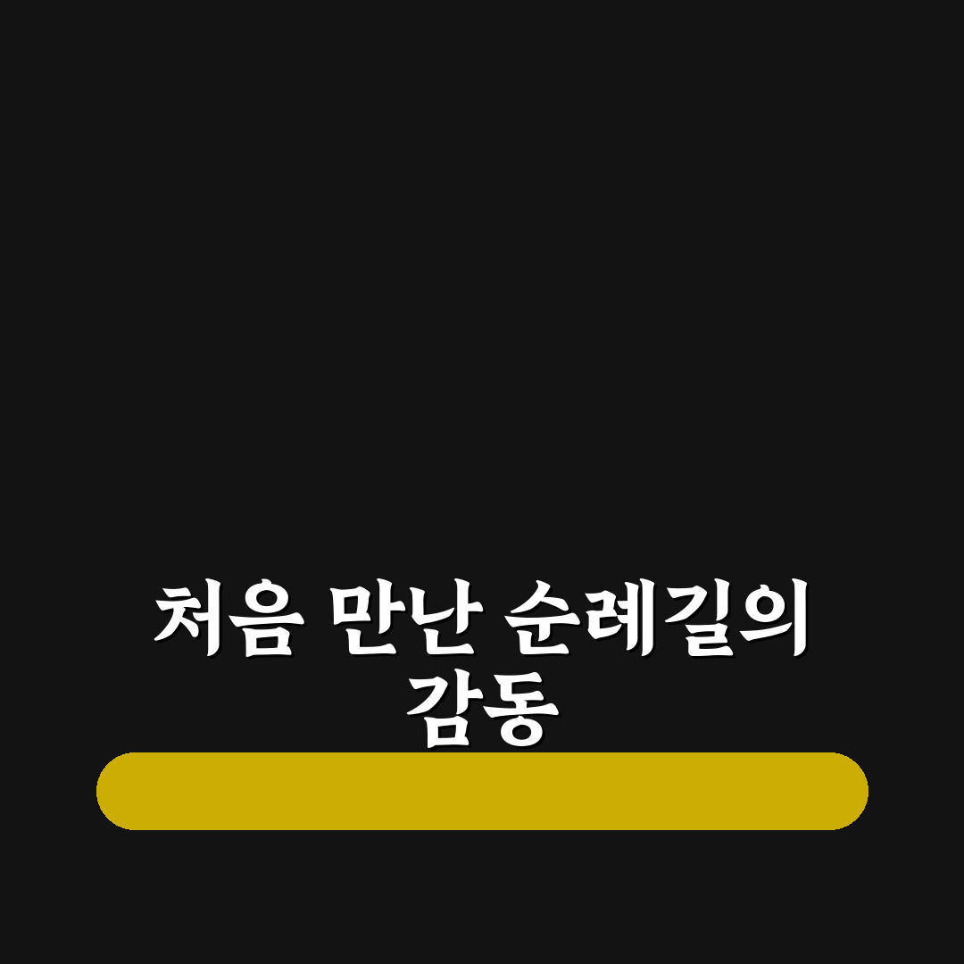 산티아고 순례길 비용 10일, 직접 알아보니 쓴 비용 후기