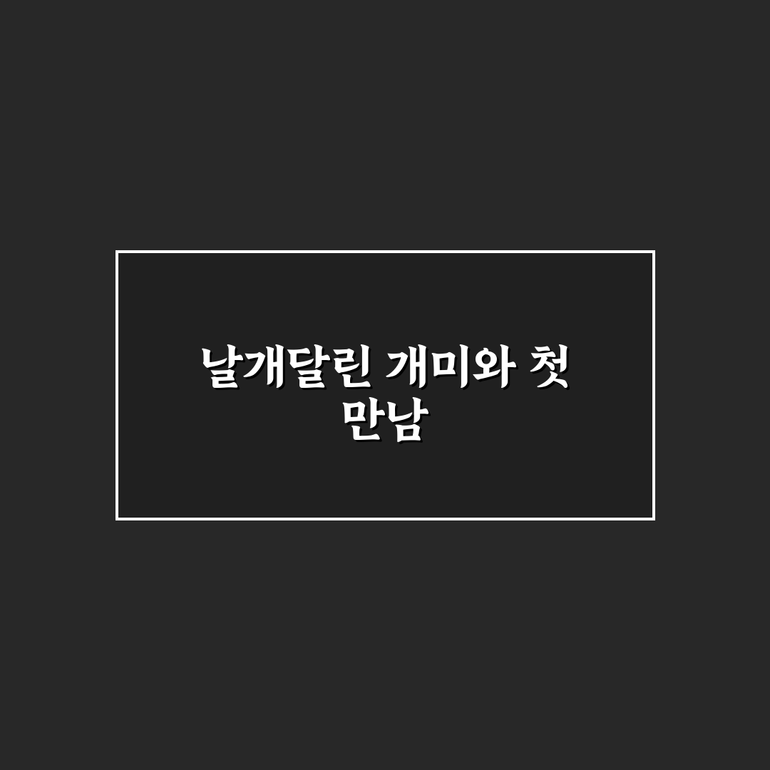 날개달린 개미 퇴치 방법 직접 써보니 효과는 어땠나