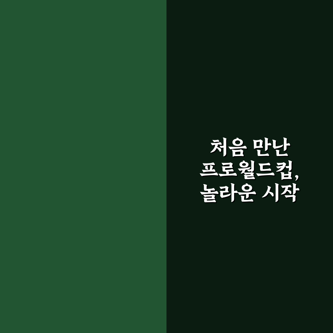 프로월드컵 바로인 사용 후기, 직접 써보니 느낀 점