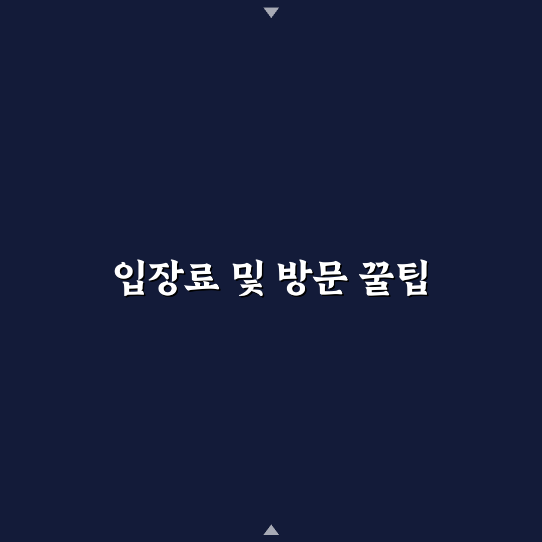 임자도 튤립축제 입장료와 이용 꿀팁 정리