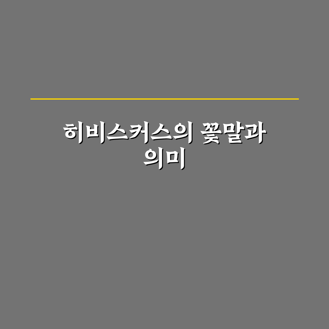 히비스커스 꽃말과 의미 쉽게 알려드려요