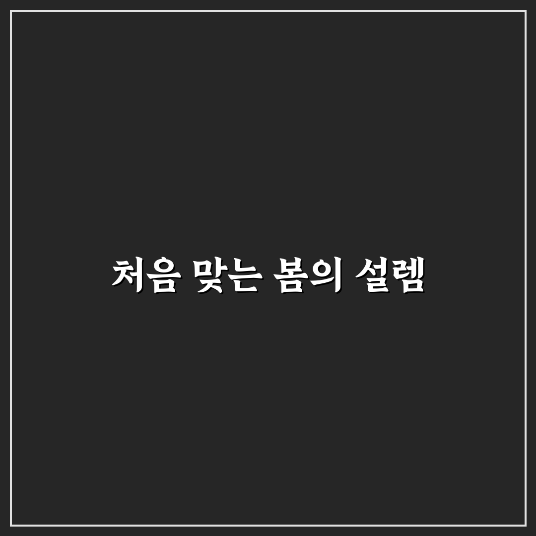 데이지꽃 축제 방문 후기, 실제로 가보니 어땠는지