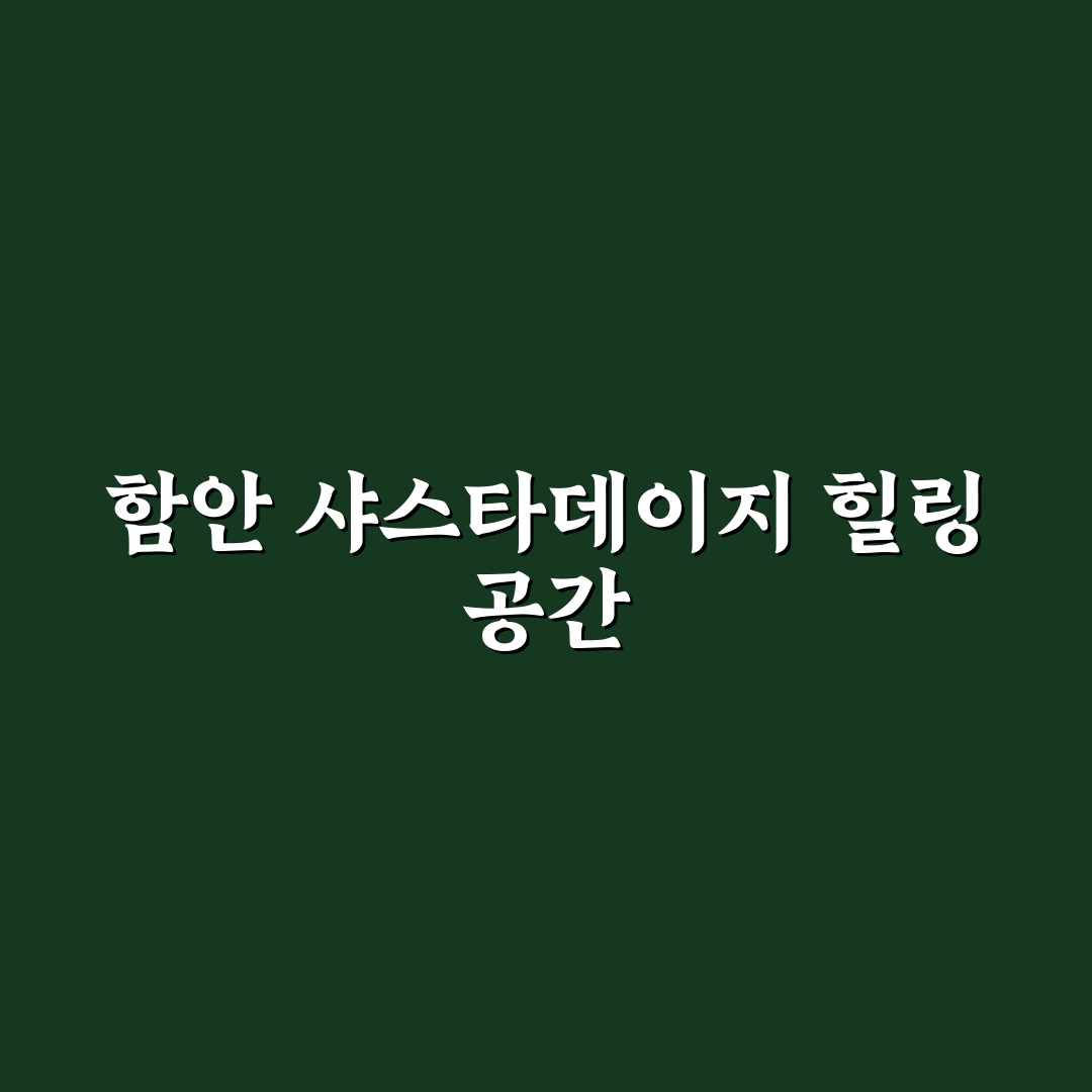 함안 악양생태공원 샤스타데이지 방문 꿀팁과 꽃 정보 정리