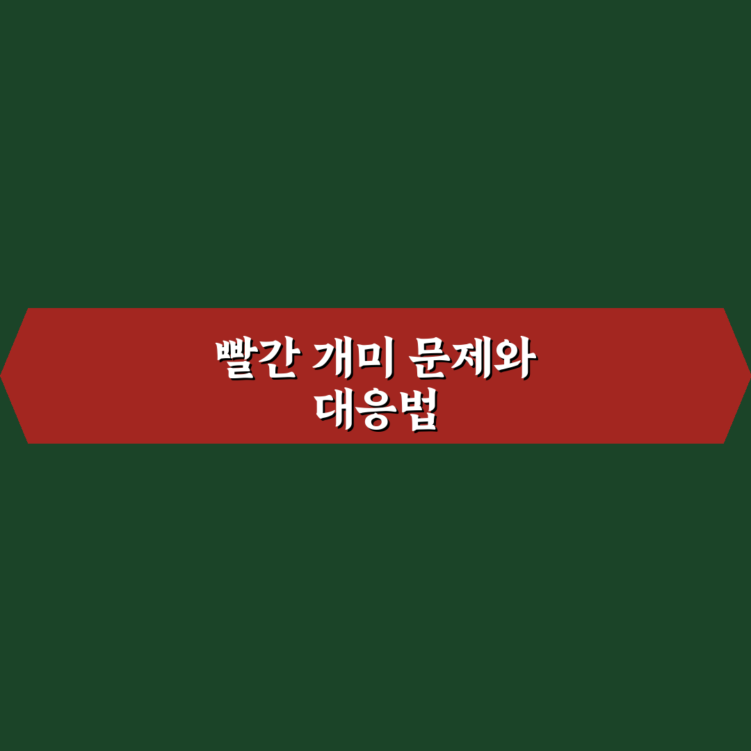 빨간 개미 퇴치법 꿀팁 초보자도 쉽게 따라해요