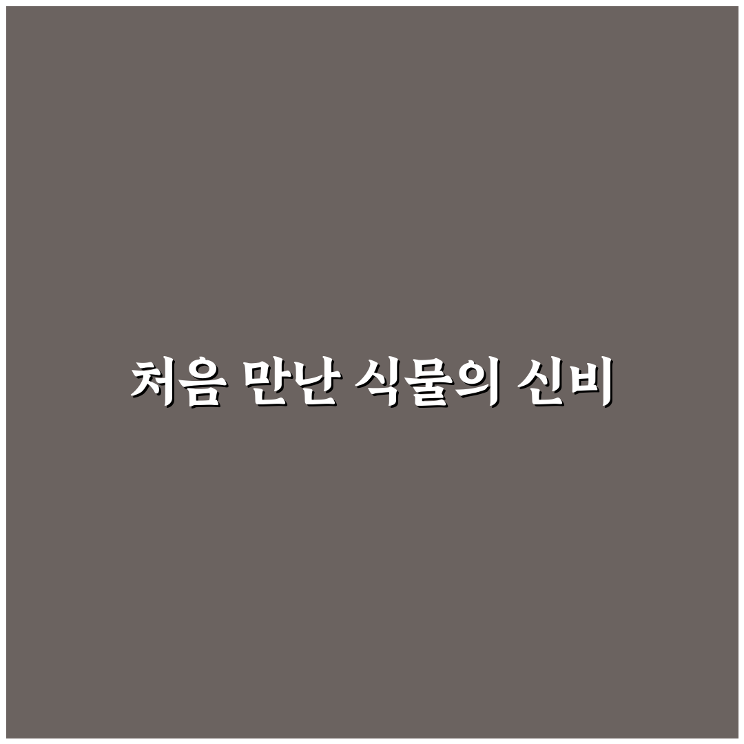붓꽃과 꽃창포 차이, 직접 알아보니 헷갈린 부분