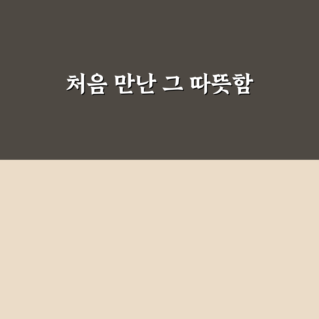 문정동 떡집 방문 후기, 직접 가보니 맛과 분위기