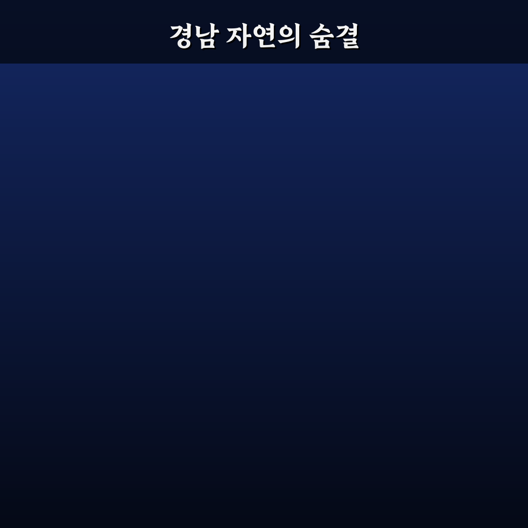 경남 이팝나무명소 방문 후기, 봄 풍경 직접 느껴보니