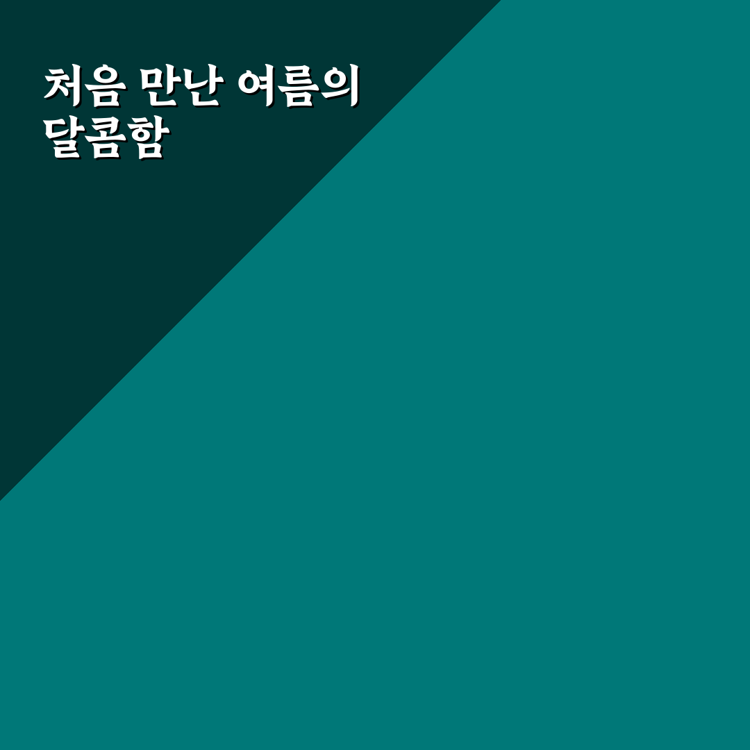참외떡 사용기, 직접 써보니 맛과 식감은 어땠나