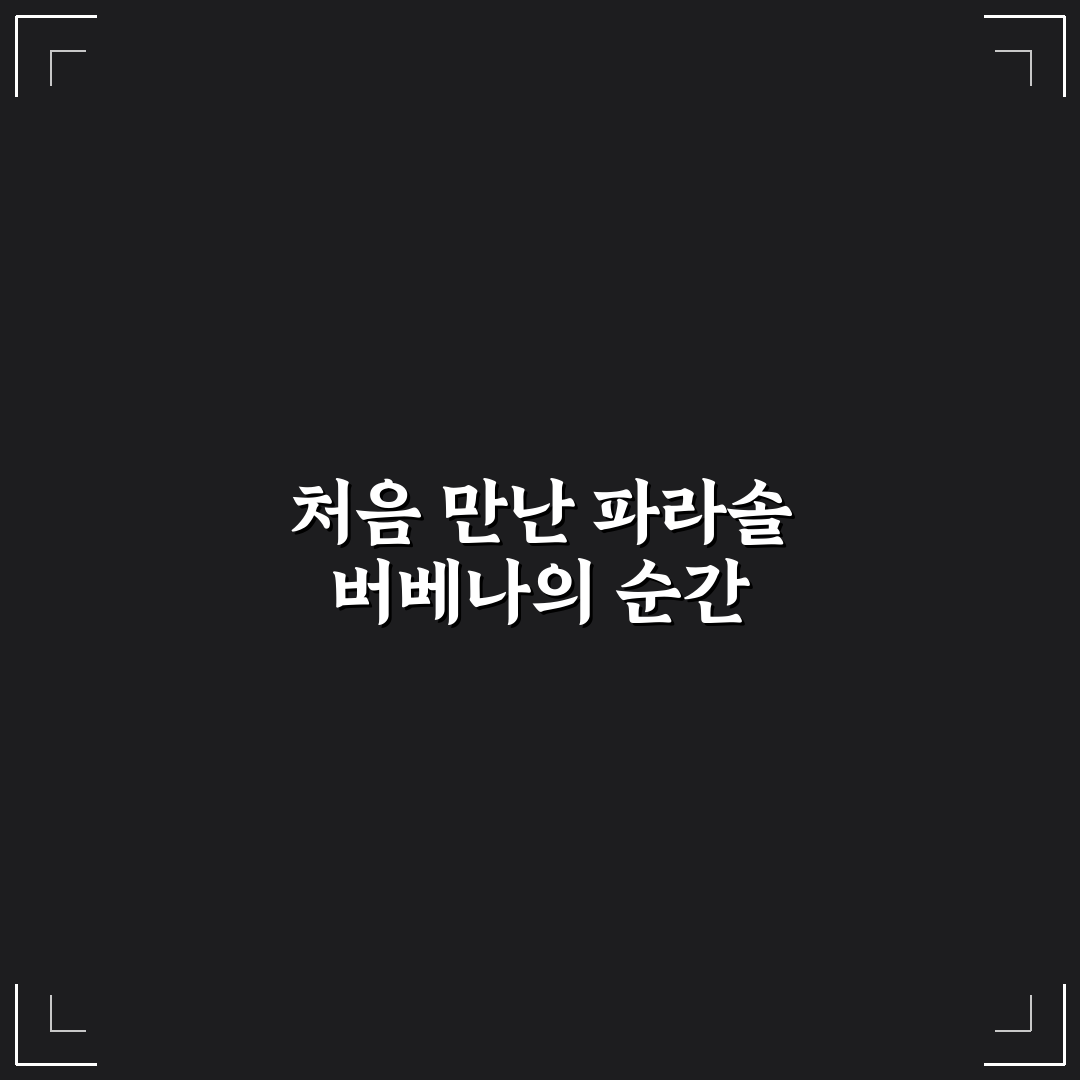 파라솔 버베나 월동 방법 직접 해보니 느낀 점