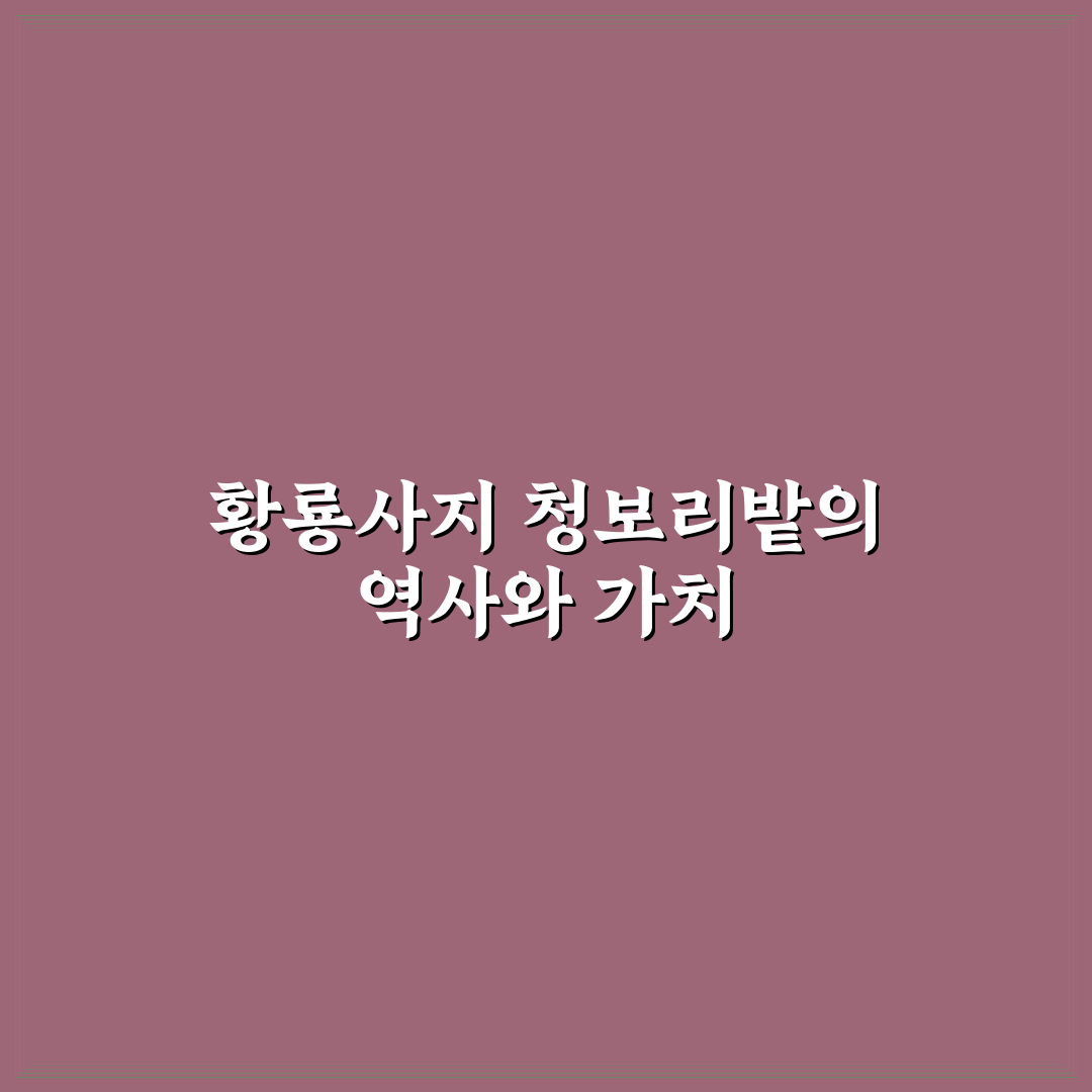 황룡사지 청보리밭 방문 팁과 풍경 추천 공유
