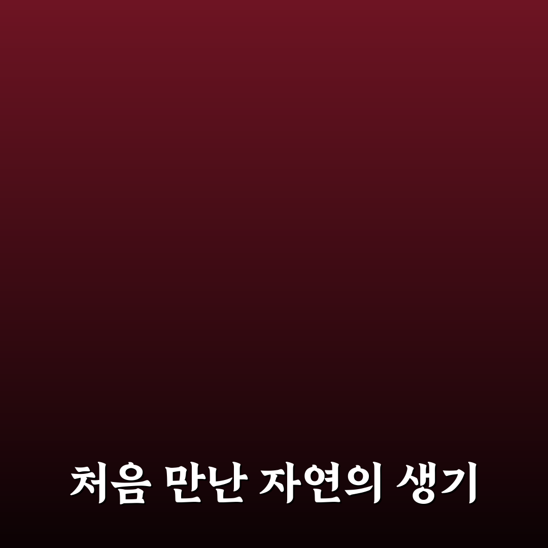 악양생태공원 실시간 방문 후기, 자연과 함께한 하루