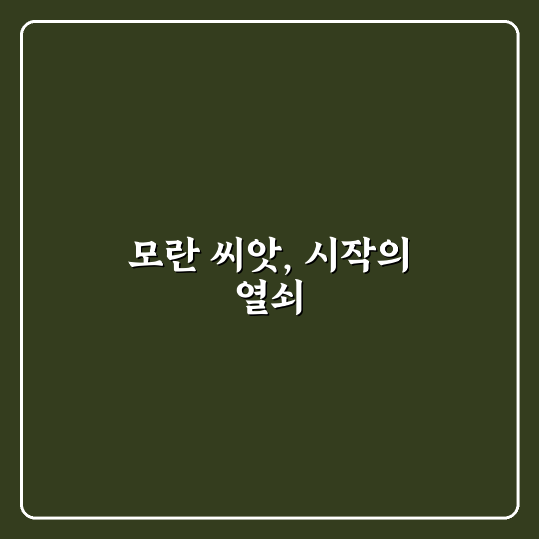모란 씨앗받는법 쉽고 자세한 꿀팁 공유